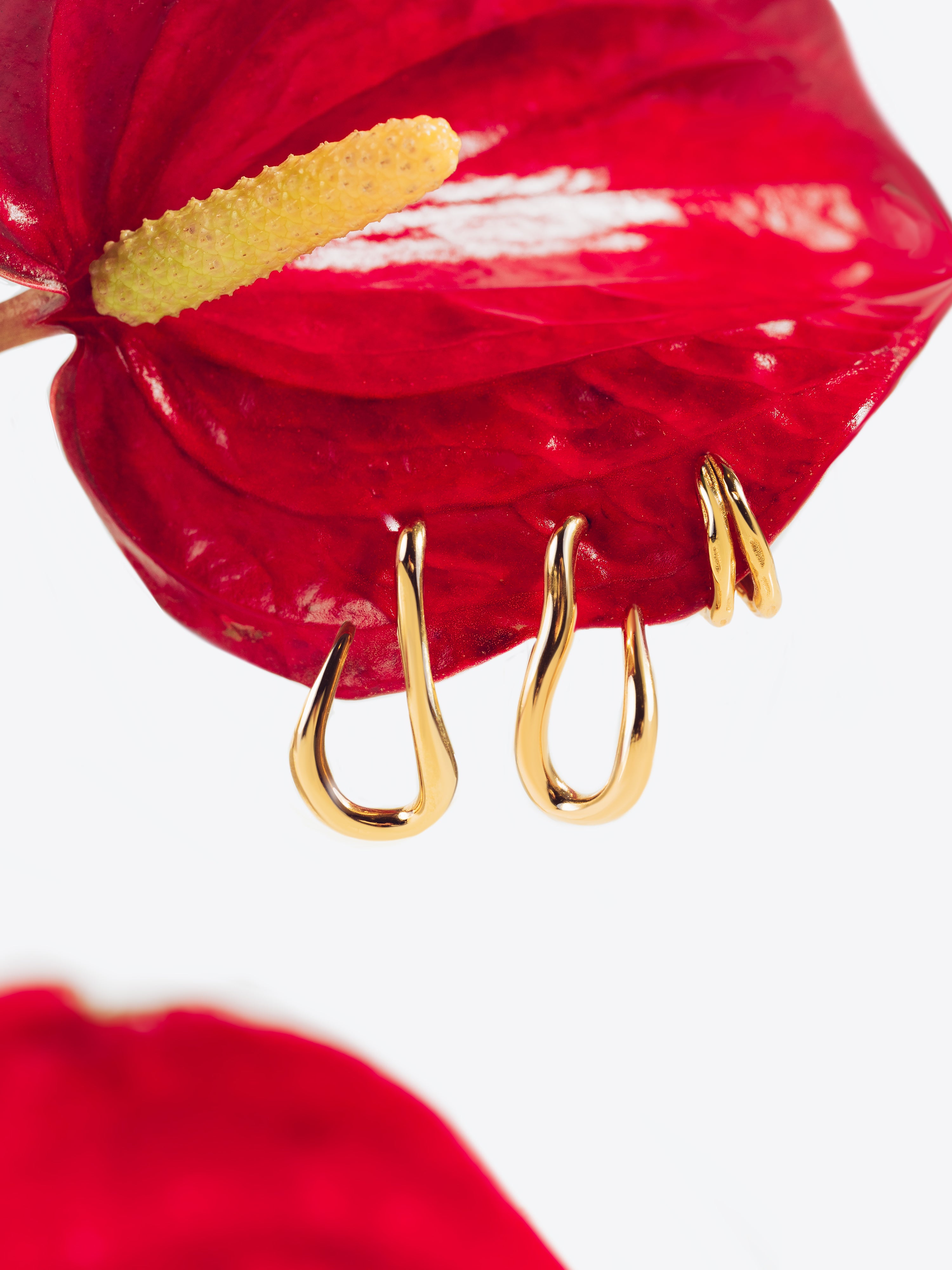 Organic Hook Gold Earrings