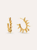 Sun Stainless Steel Gold Hoop Earrings