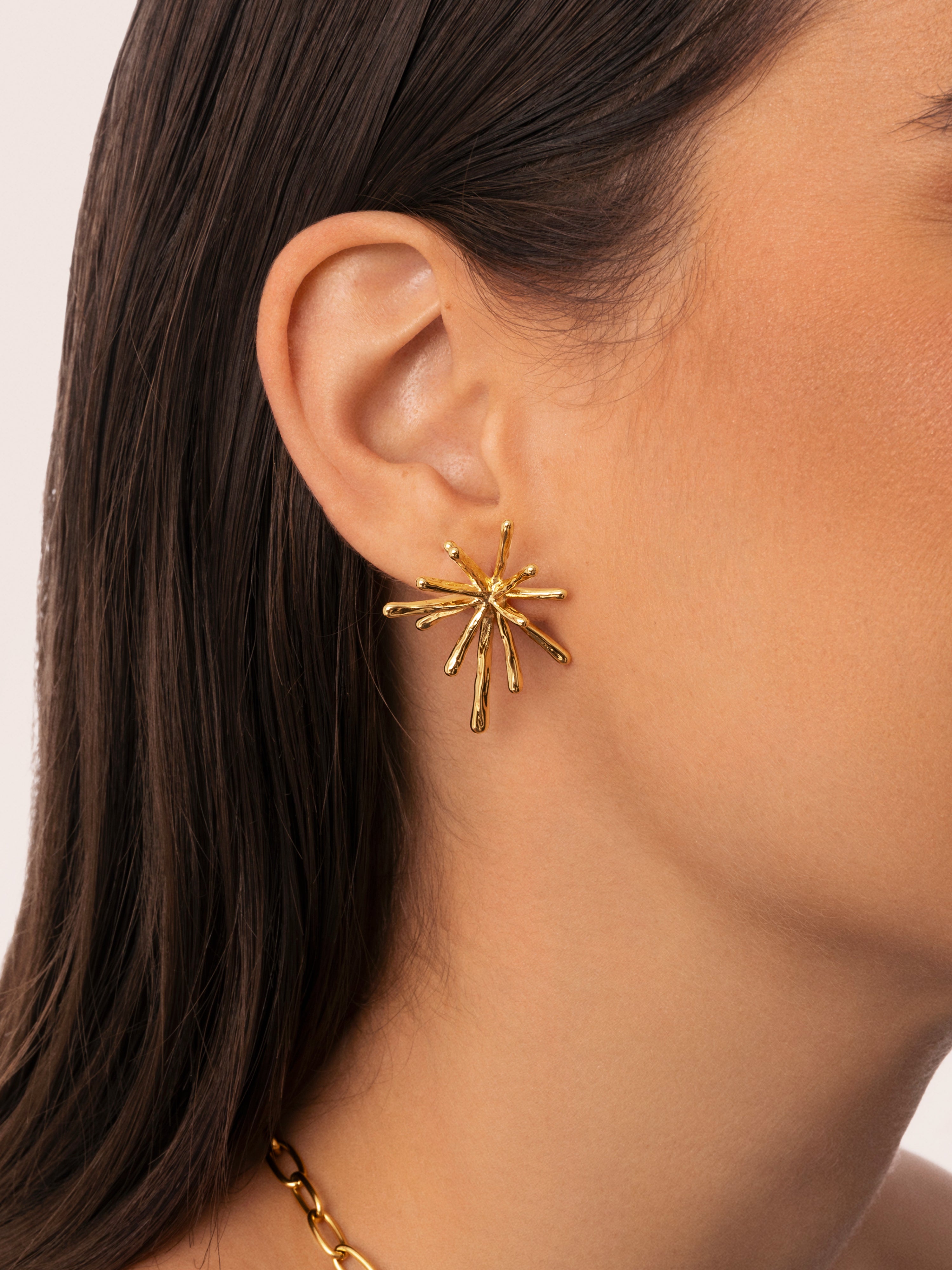 Nova Stainless Steel Gold Earrings