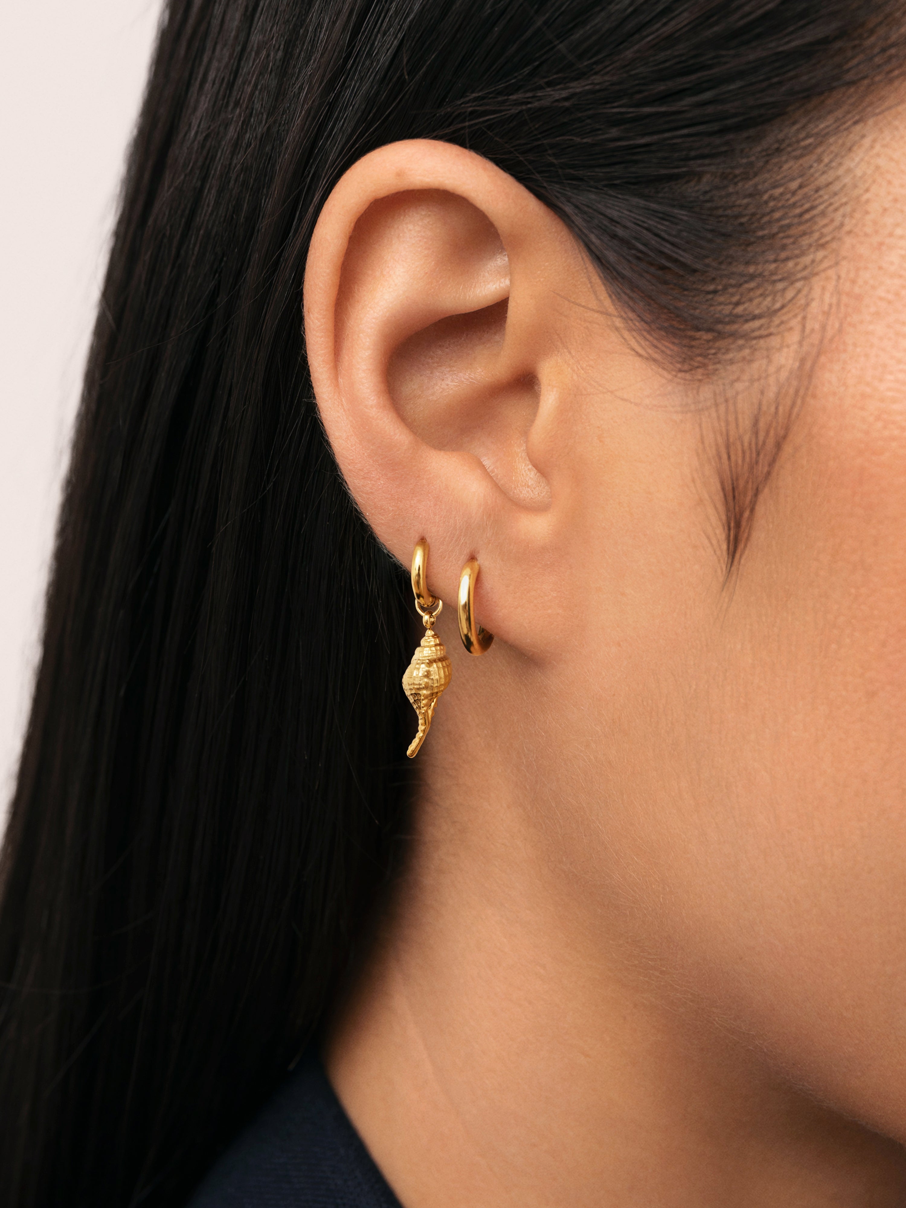 Baby Shell Stainless Steel Gold Single Earring