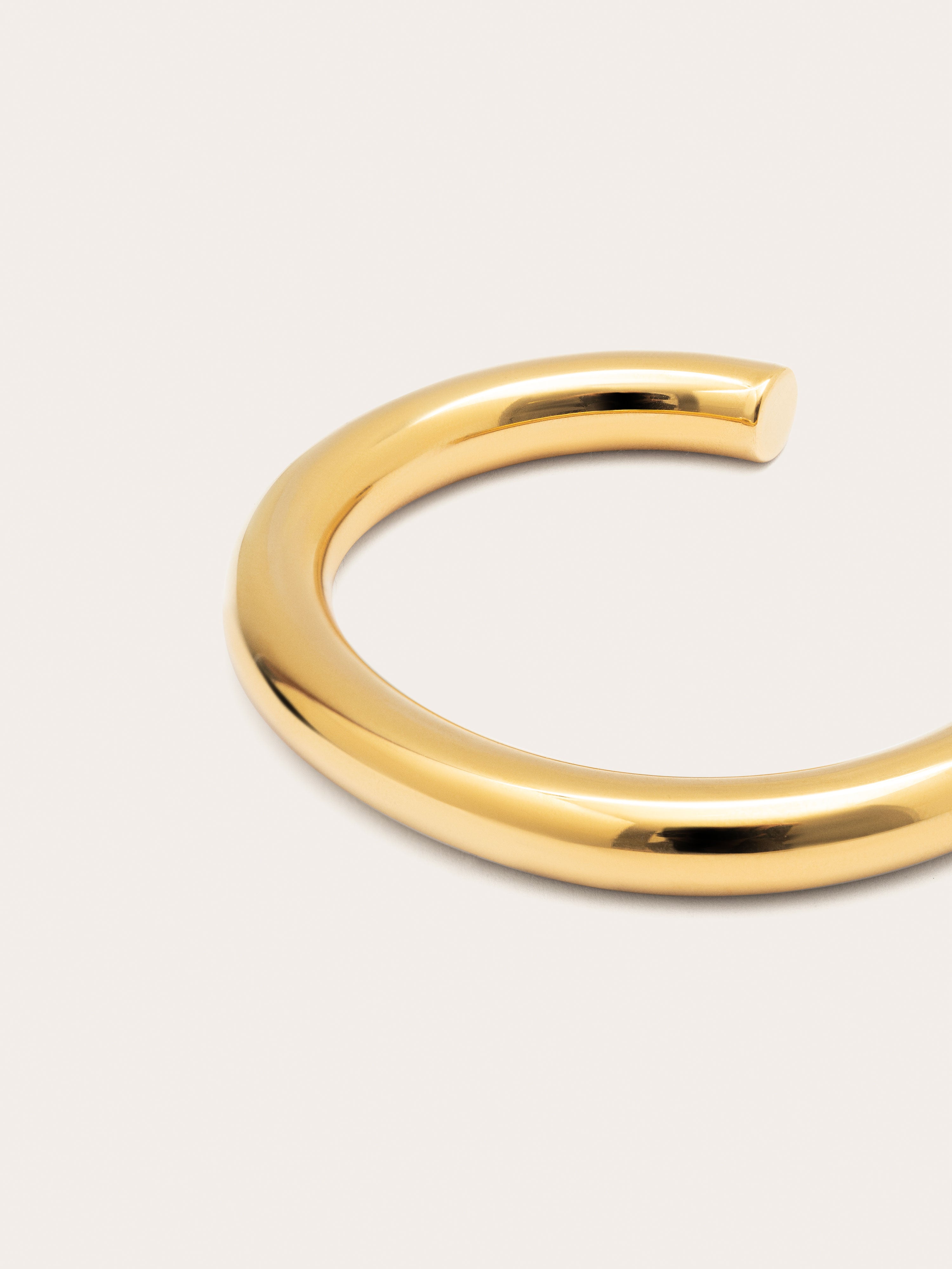 Allegra Stainless Steel Gold Bracelet