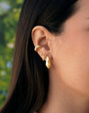 Espresso Gold Earrings 