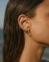 Double Tressia Gold Single Earring
