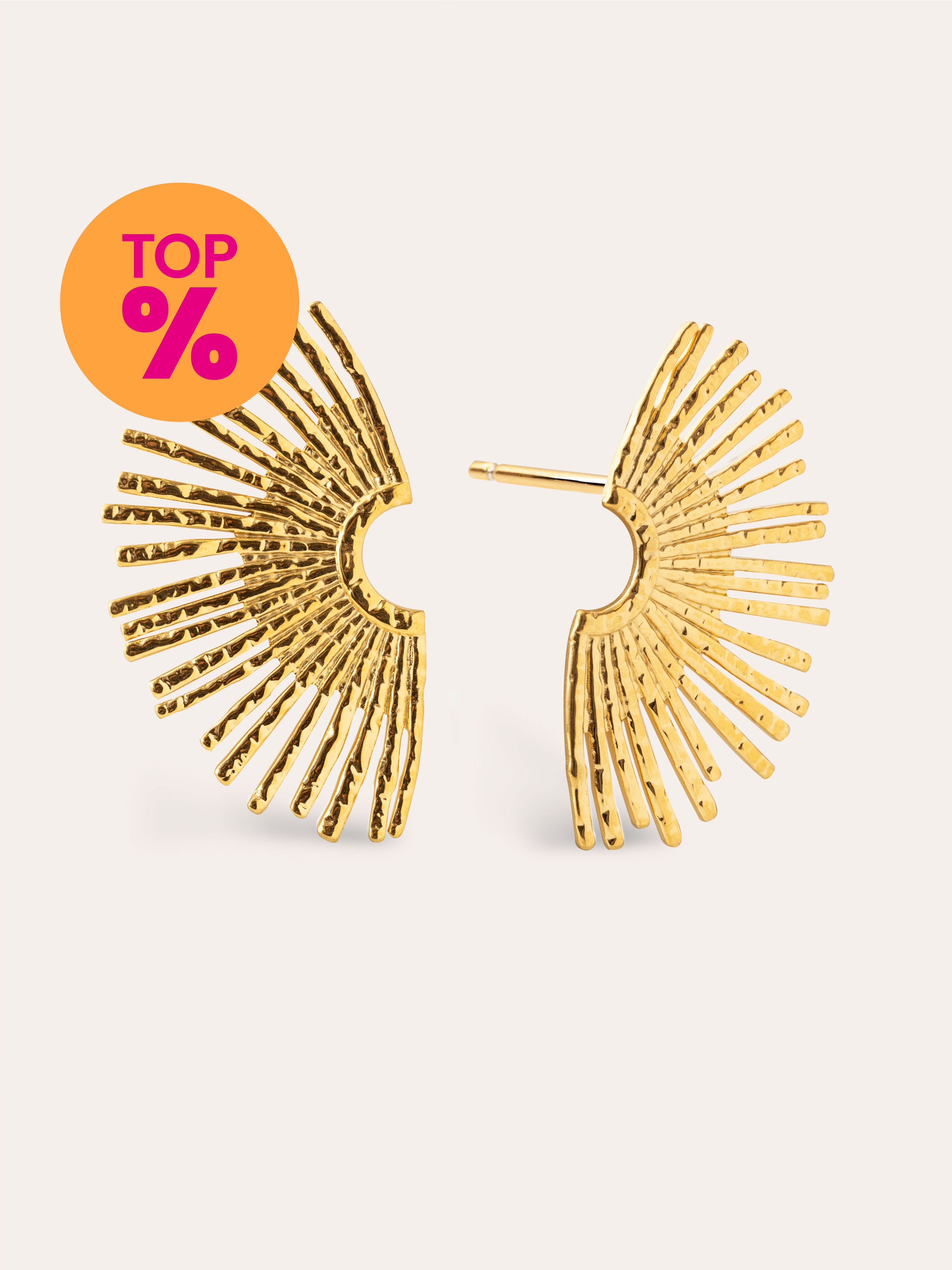 Sunbeam Stainless Steel Gold Earrings