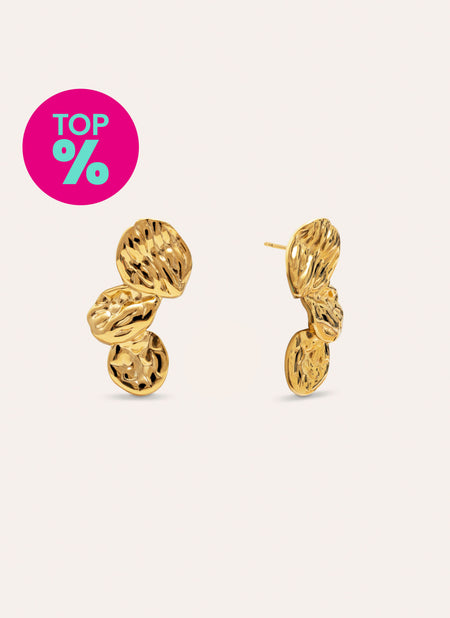Aurea Stainless Steel Gold Earrings