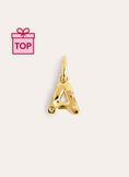 Letter Organic Gold Charm 