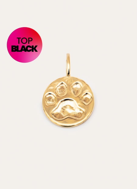 Paw Gold Charm