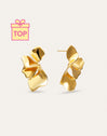 Petal Stainless Steel Gold Earrings 