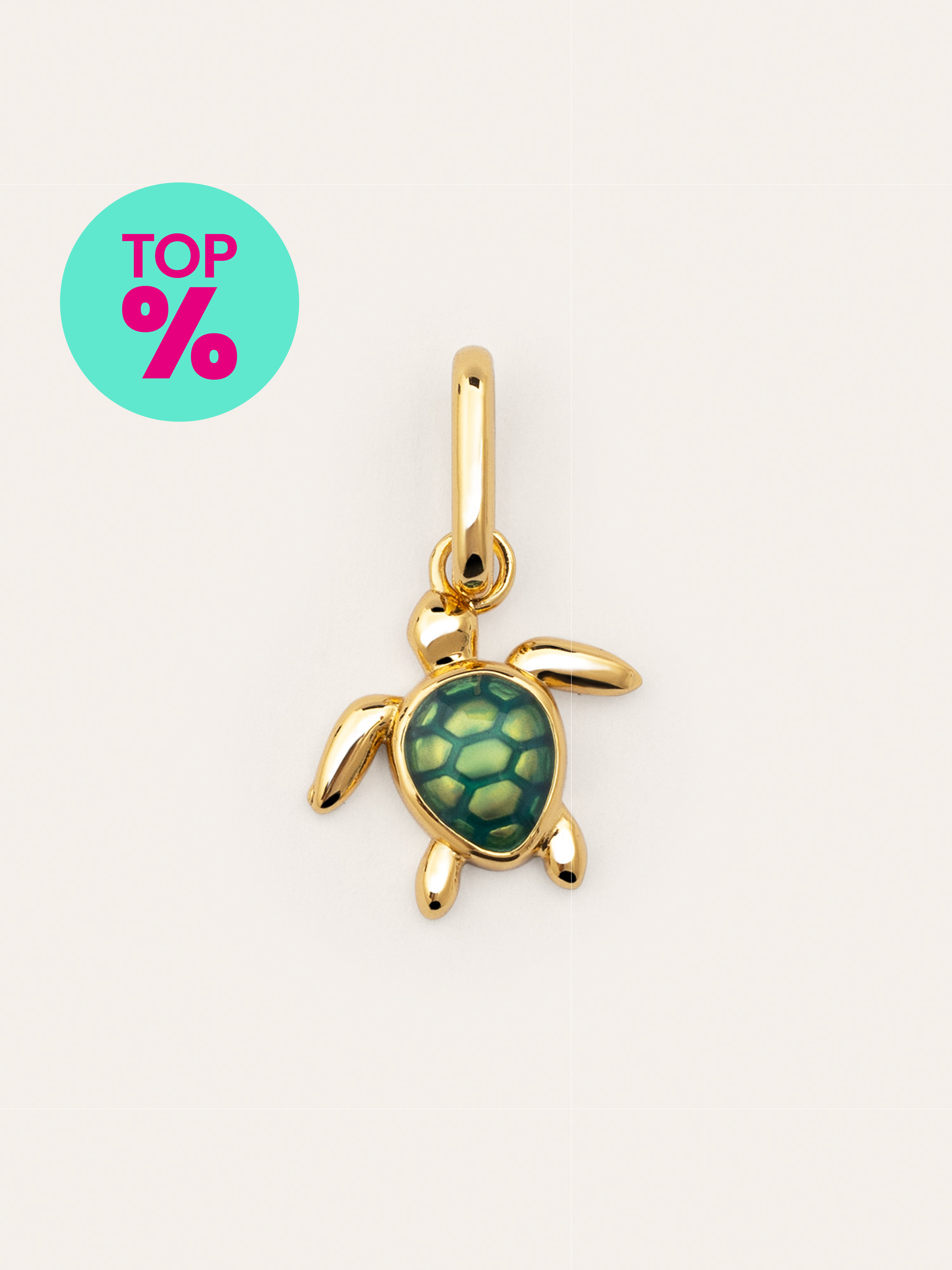 Turtle Gold Charm