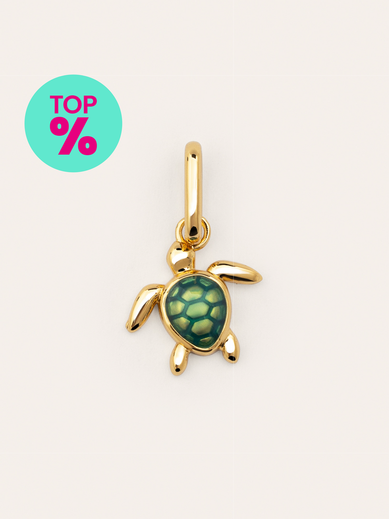Turtle Gold Charm