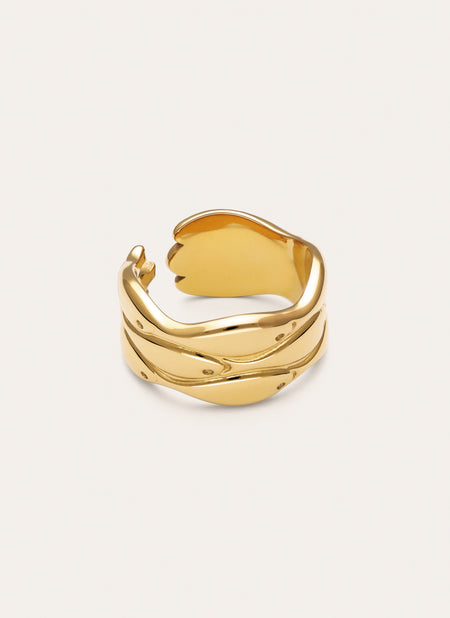 Maui Steel Gold-Plated Ring
