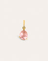 Charm Birthstones Placcato Oro