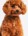 Toy Poodle Gold Charm