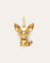 Charm Chihuahua Baño Oro