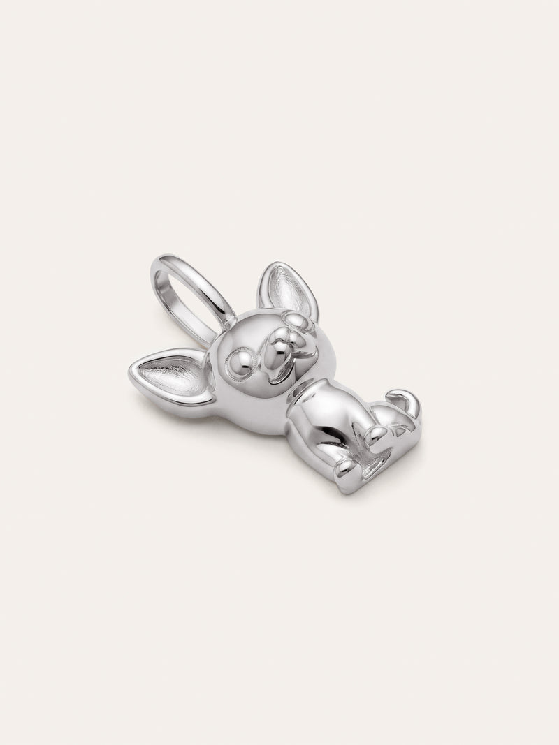 Charm Chihuahua