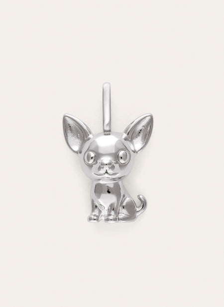 Charm Chihuahua