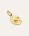 Charm Treasure Baño Oro