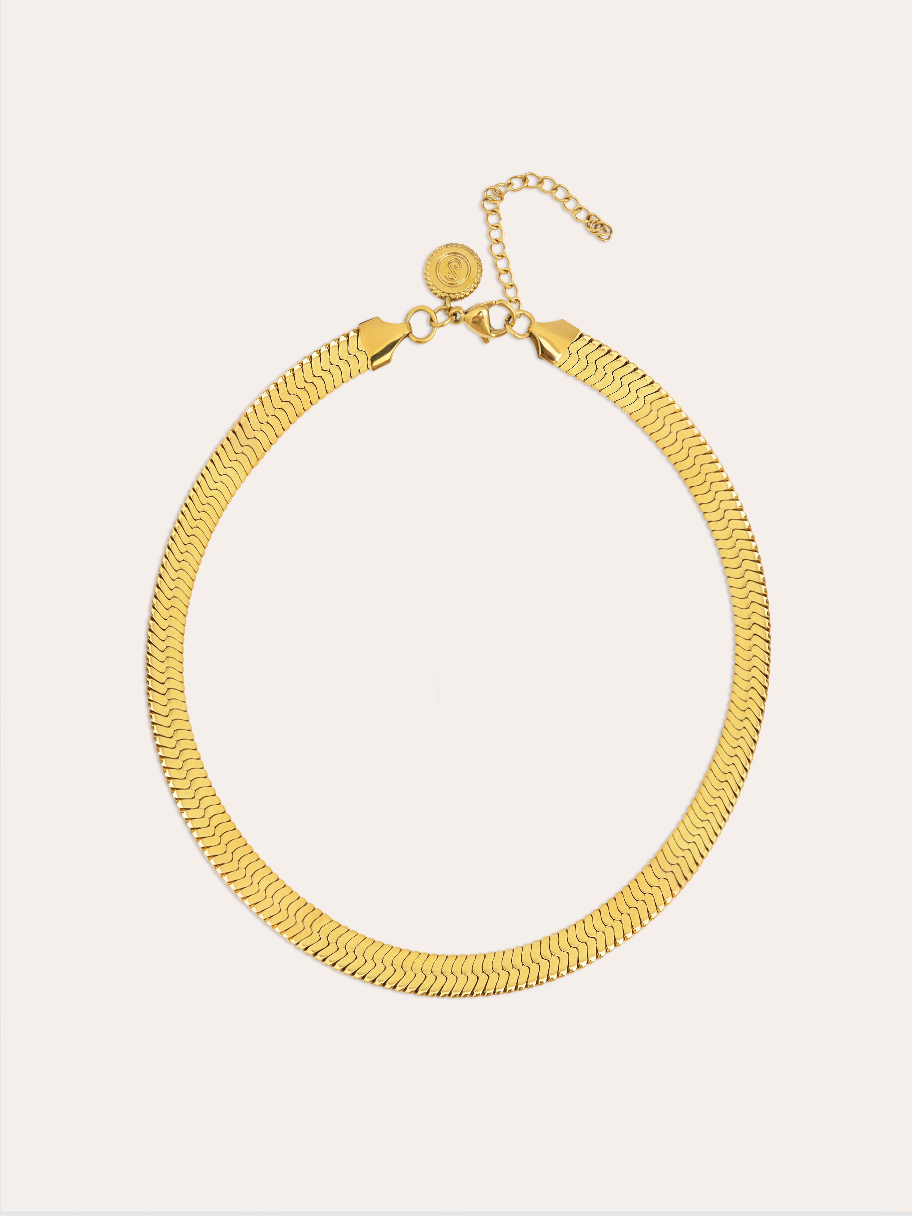 Big Lisse Stainless Steel Gold Necklace