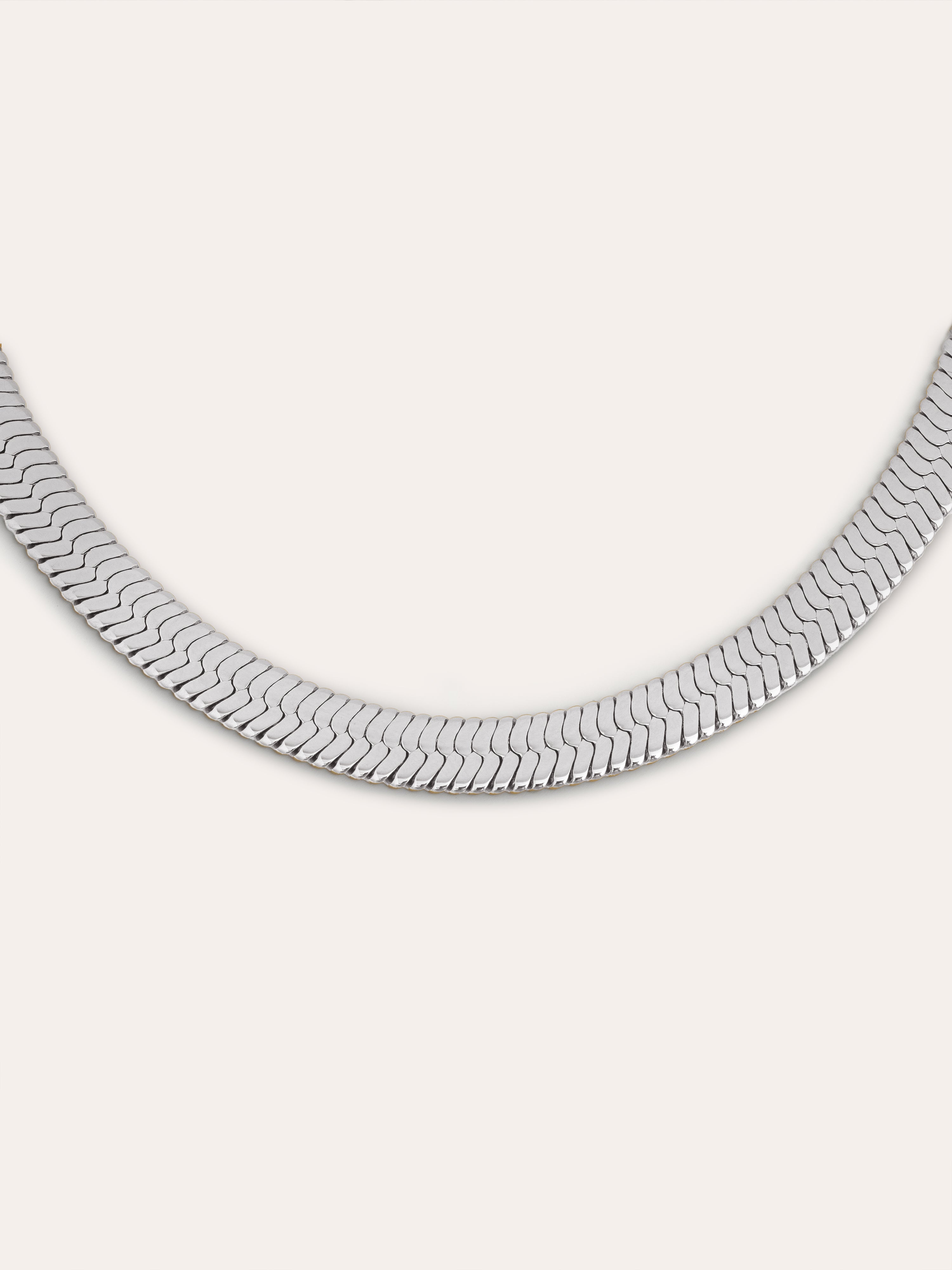 Big Lisse Stainless Steel Necklace