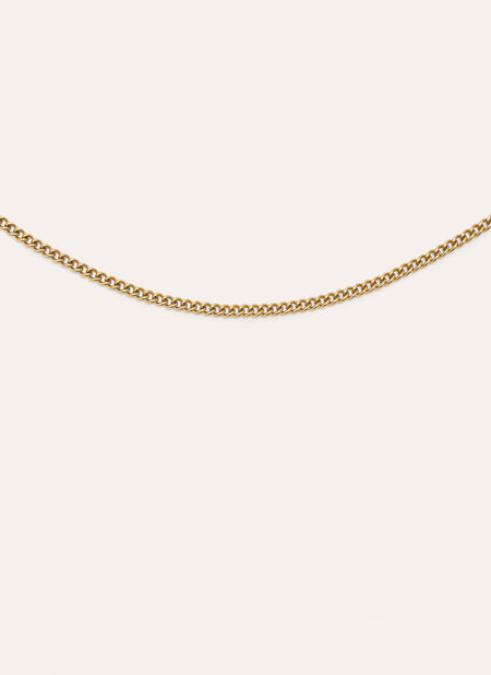 Barbada Chain Stainless Steel Gold Necklace