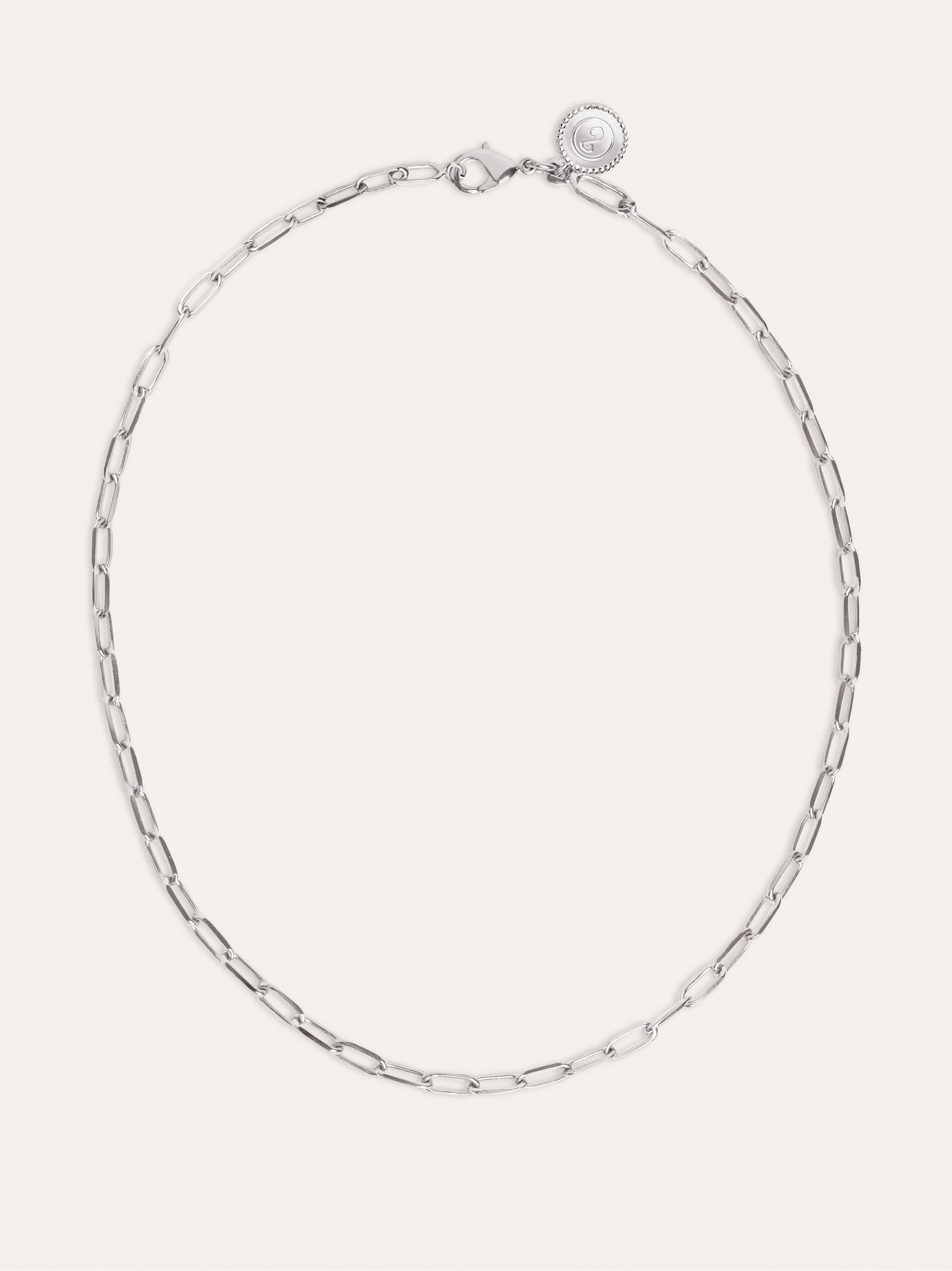 Chic Stainless Steel Necklace