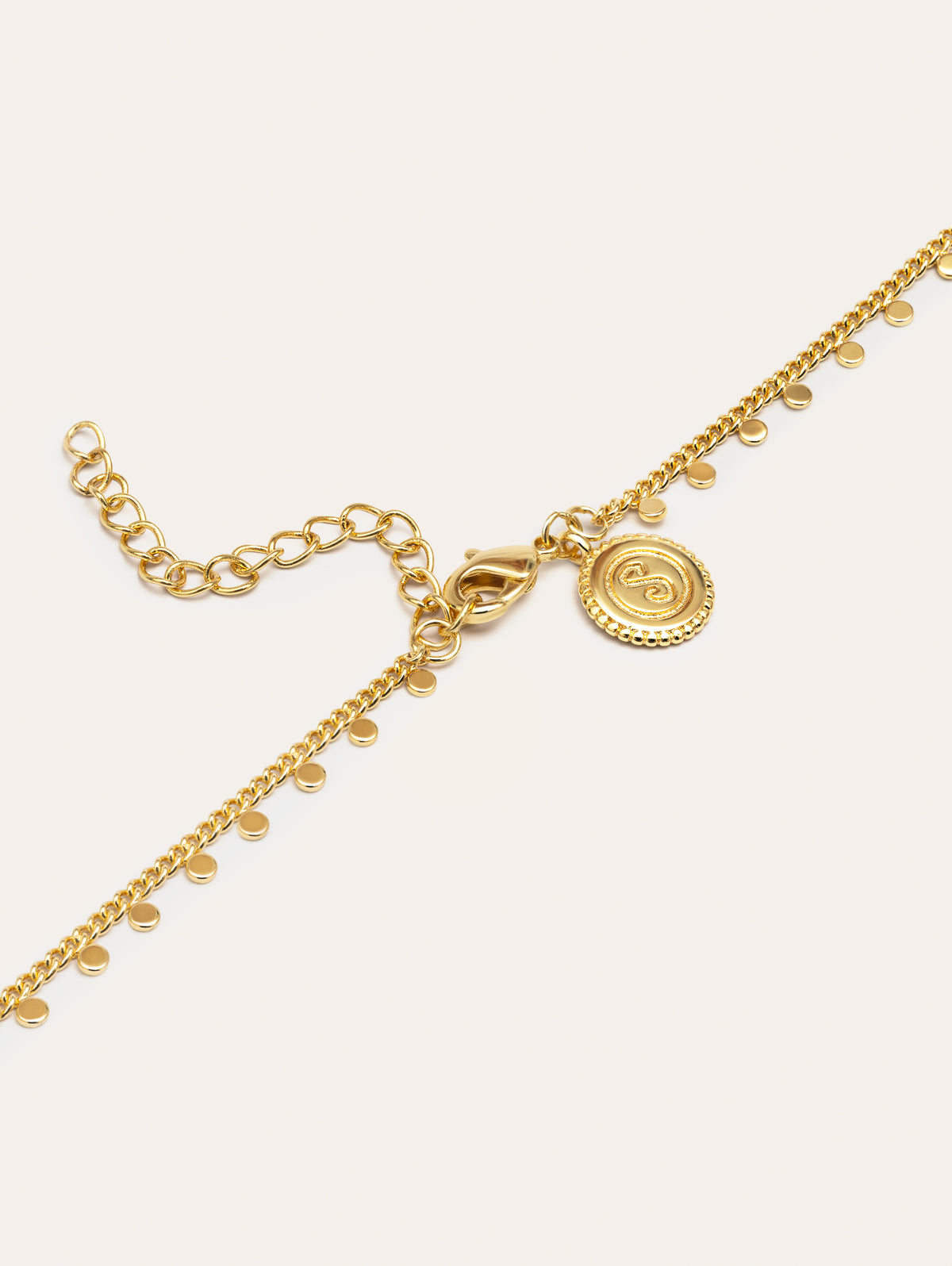FIERCE FOLKLORE COIN NECKLACE SILVER