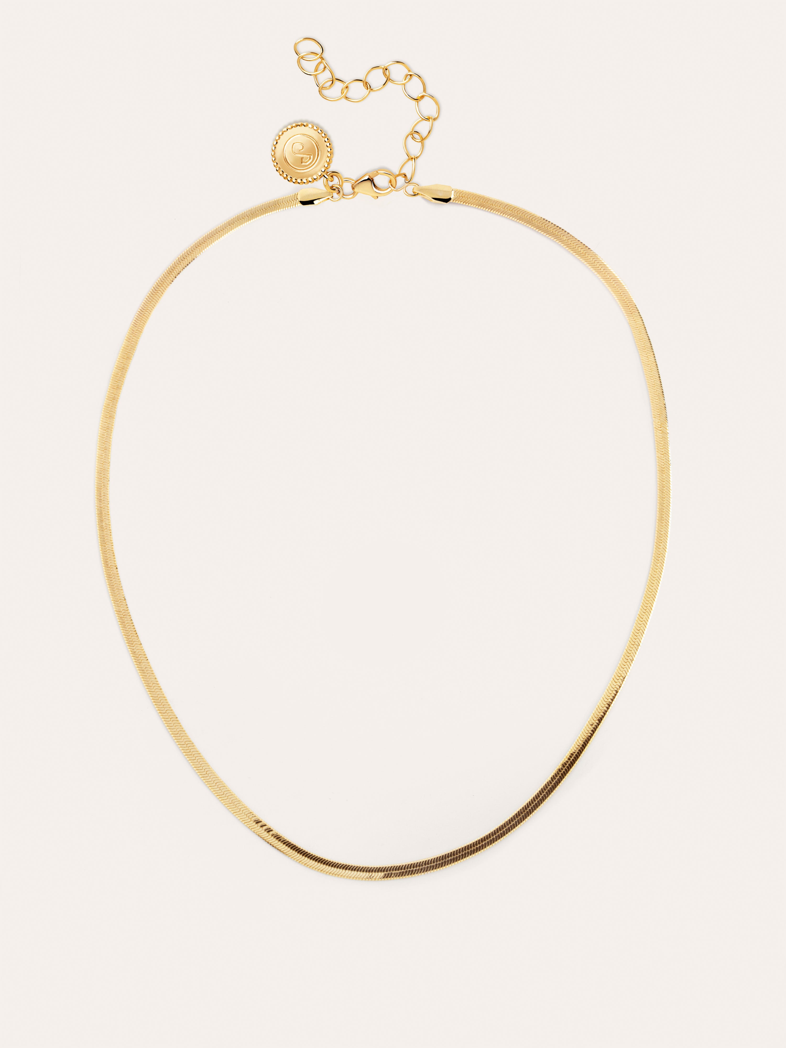 Lisse Stainless Steel Gold Necklace