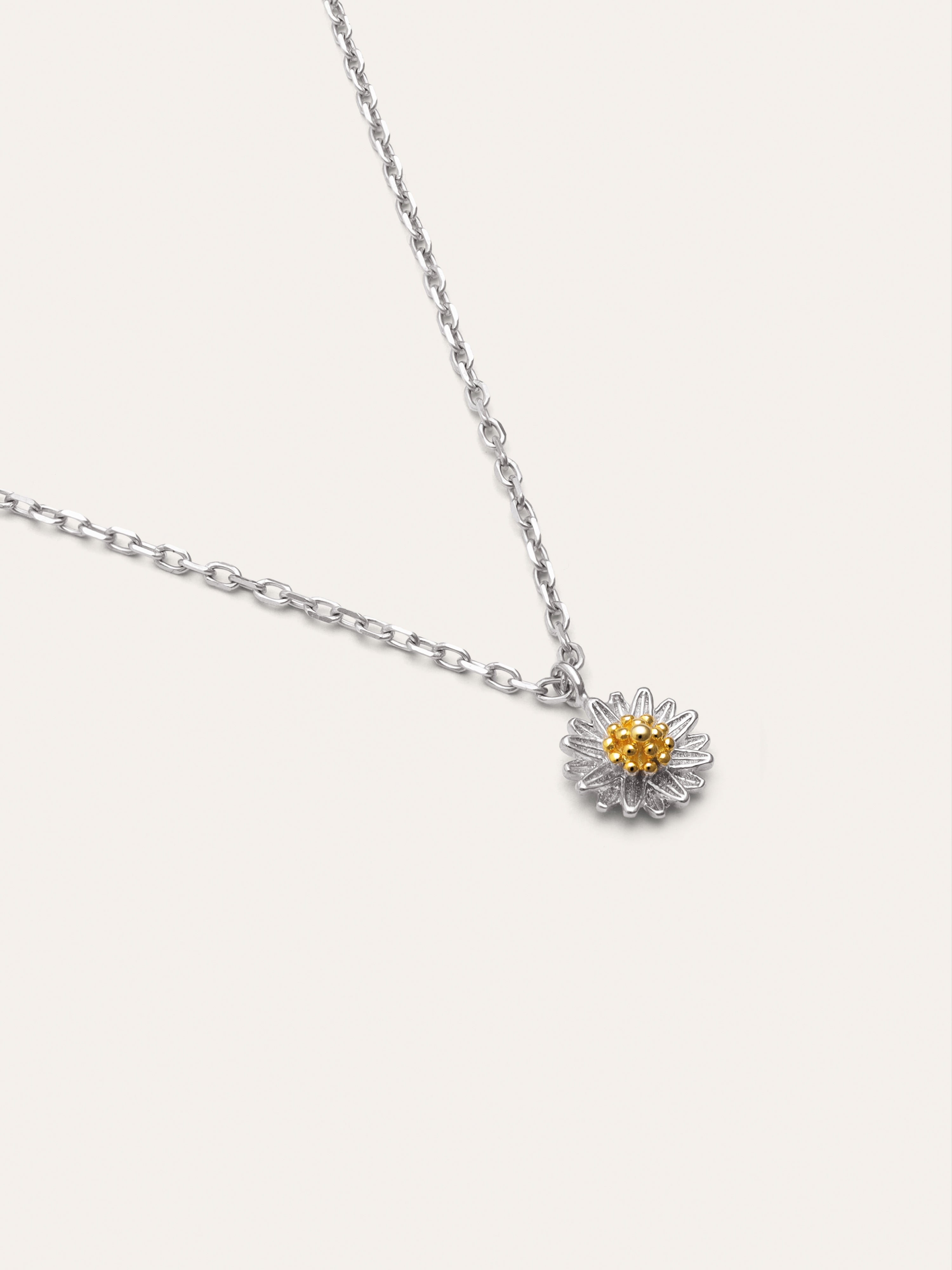 Collar Margarita Plata