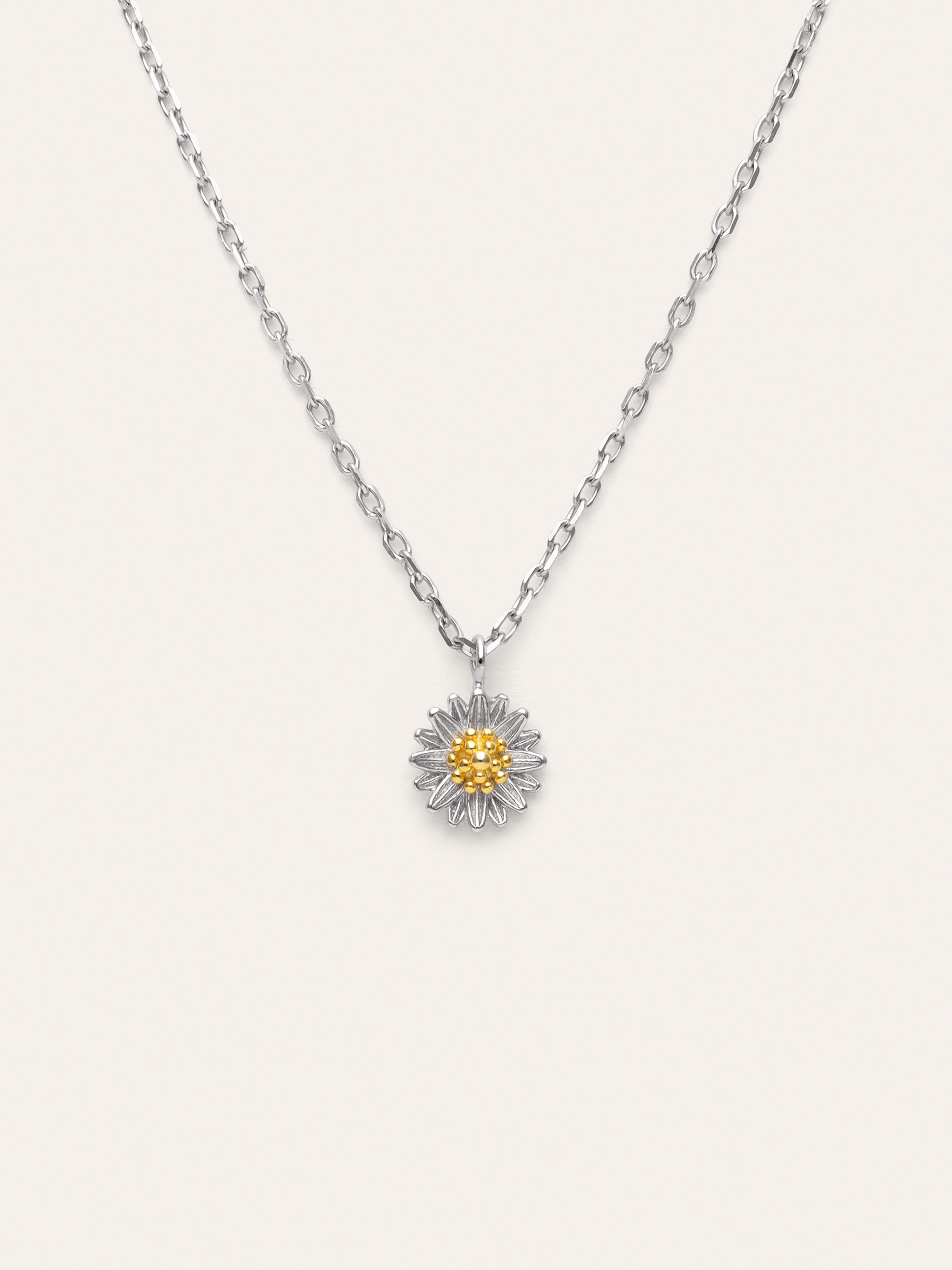 Collar Margarita Plata