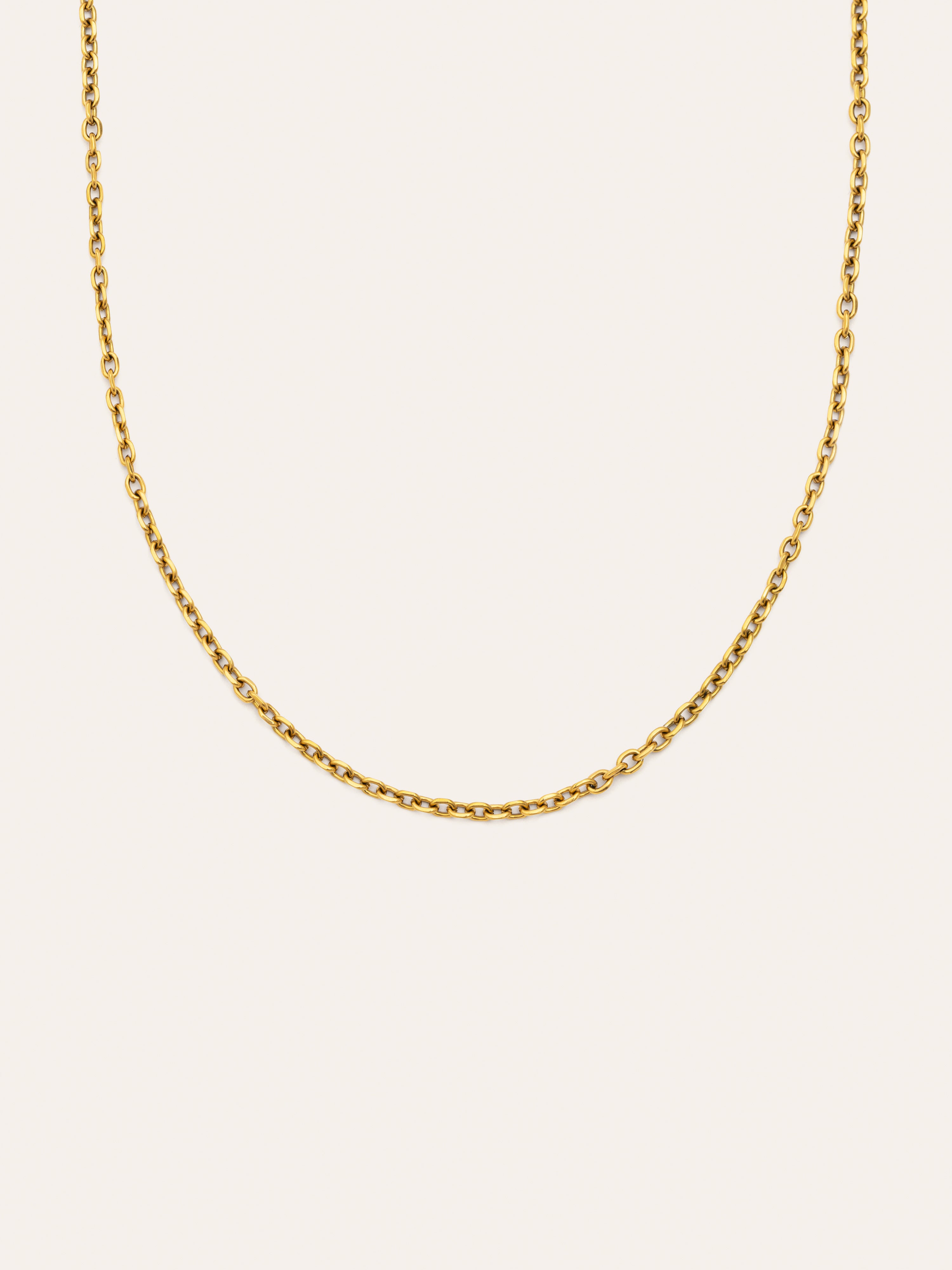 Orla Rope Stainless Steel Gold Necklace 