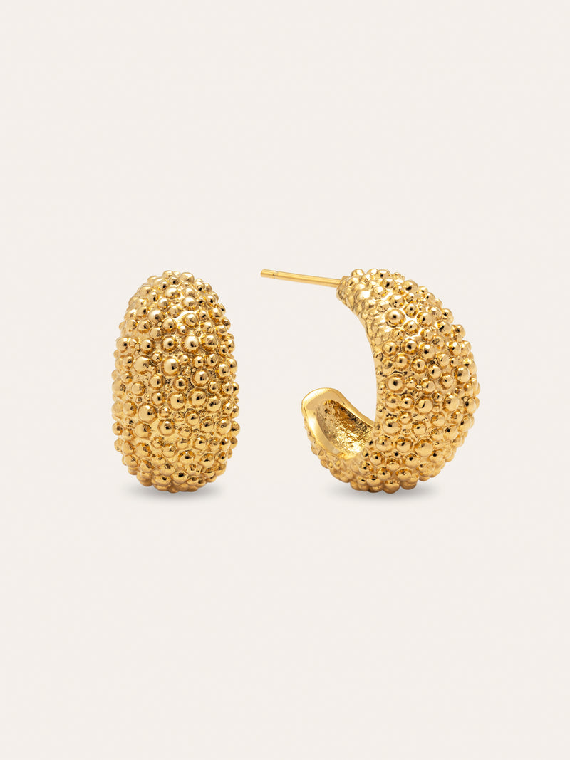 Antique Stainless Steel Gold Hoop Earrings