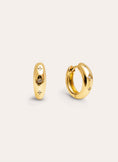 Astra S Gold Earrings 