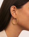 Pendientes Aro Bomb Acero Baño Oro