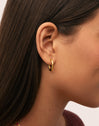 Bonnet Stainless Steel Gold Hoop Earrings