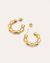 Sugarcane Stainless Steel Gold Hoop Earrings