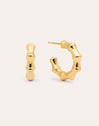 Sugarcane Stainless Steel Gold Hoop Earrings