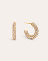 Vida Gold Hoop Earrings 