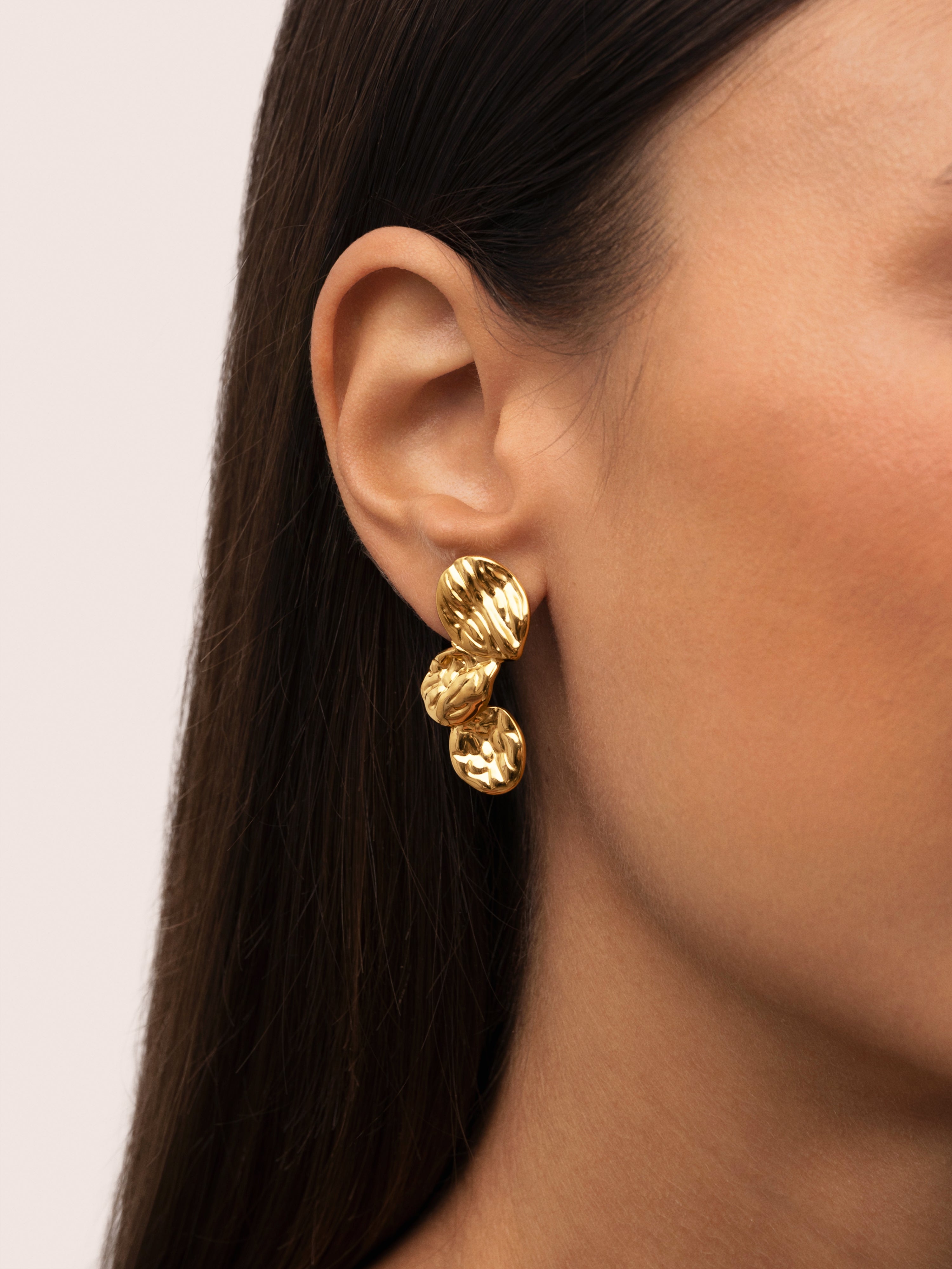 Aurea Stainless Steel Gold Earrings