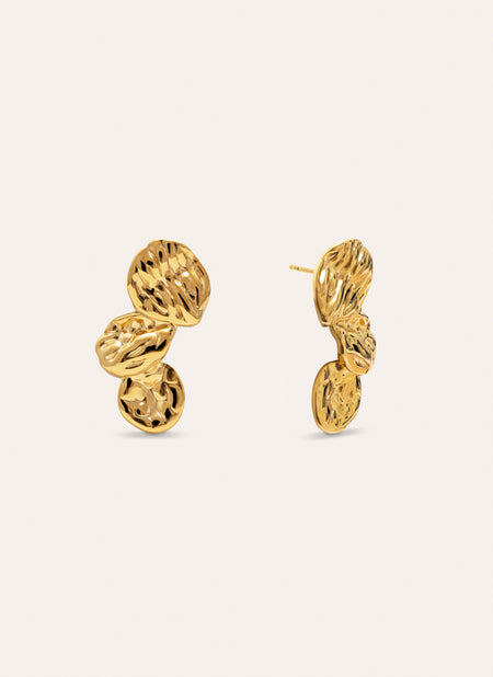 Aurea Stainless Steel Gold Earrings