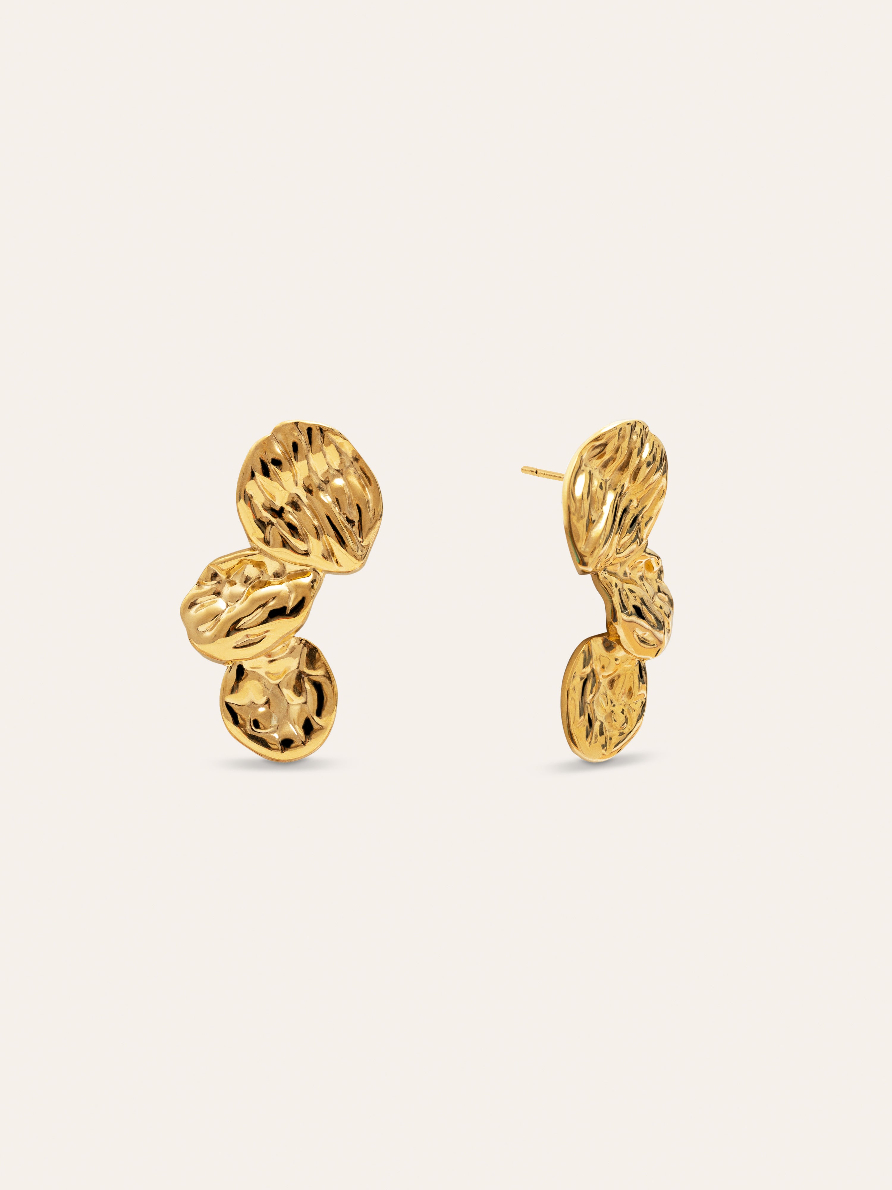 Aurea Stainless Steel Gold Earrings