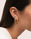 Single Hoop Earring Cleo M Colors Gold Plated