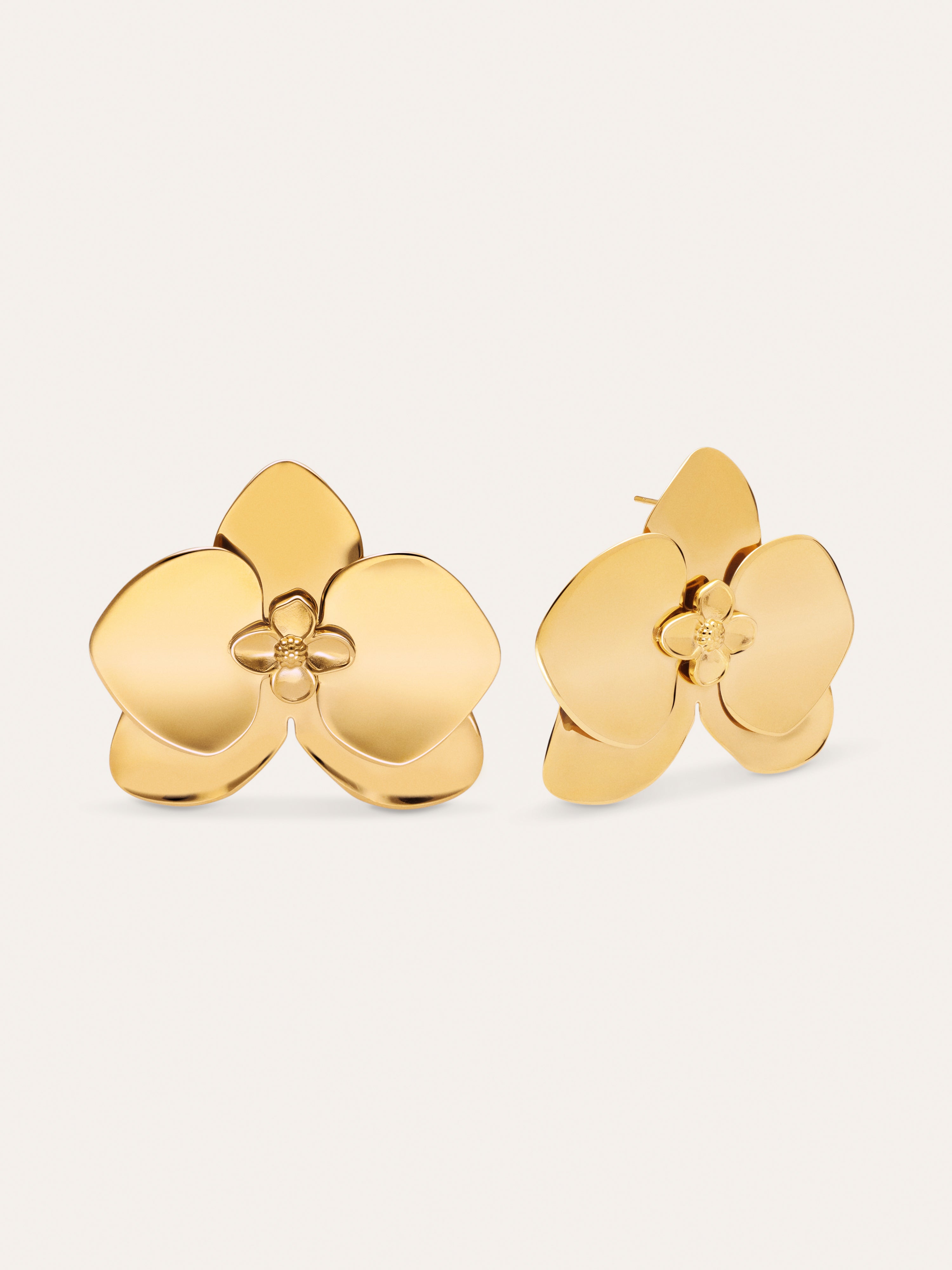 Botanic Stainless Steel Gold Earrings