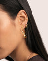 Spiral Drop Gold Earrings