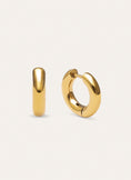 Carmen S Stainless Steel Gold Earrings
