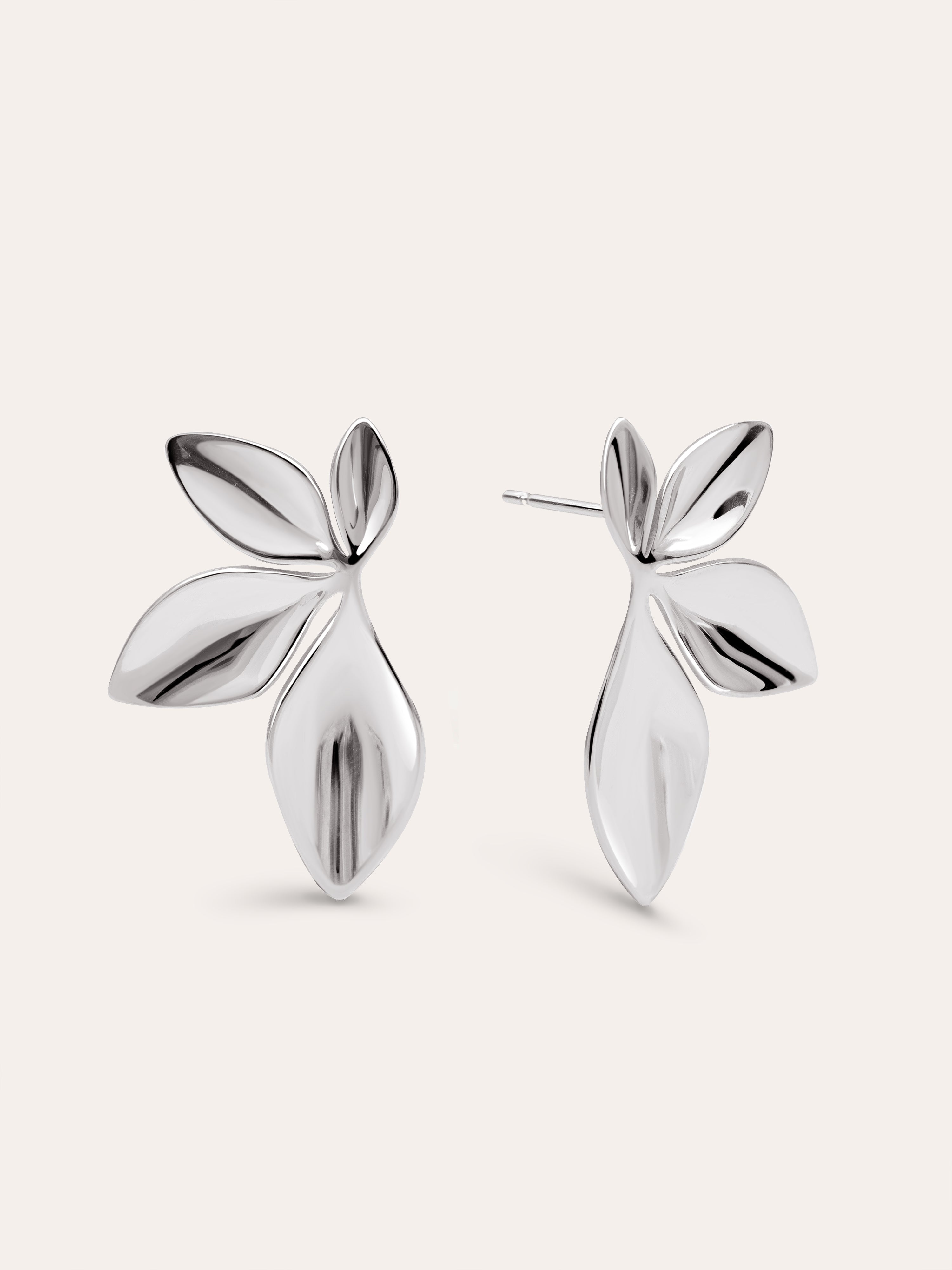 Camila Stainless Steel Earrings 