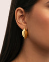 Cacao Stainless Steel Gold Earrings 
