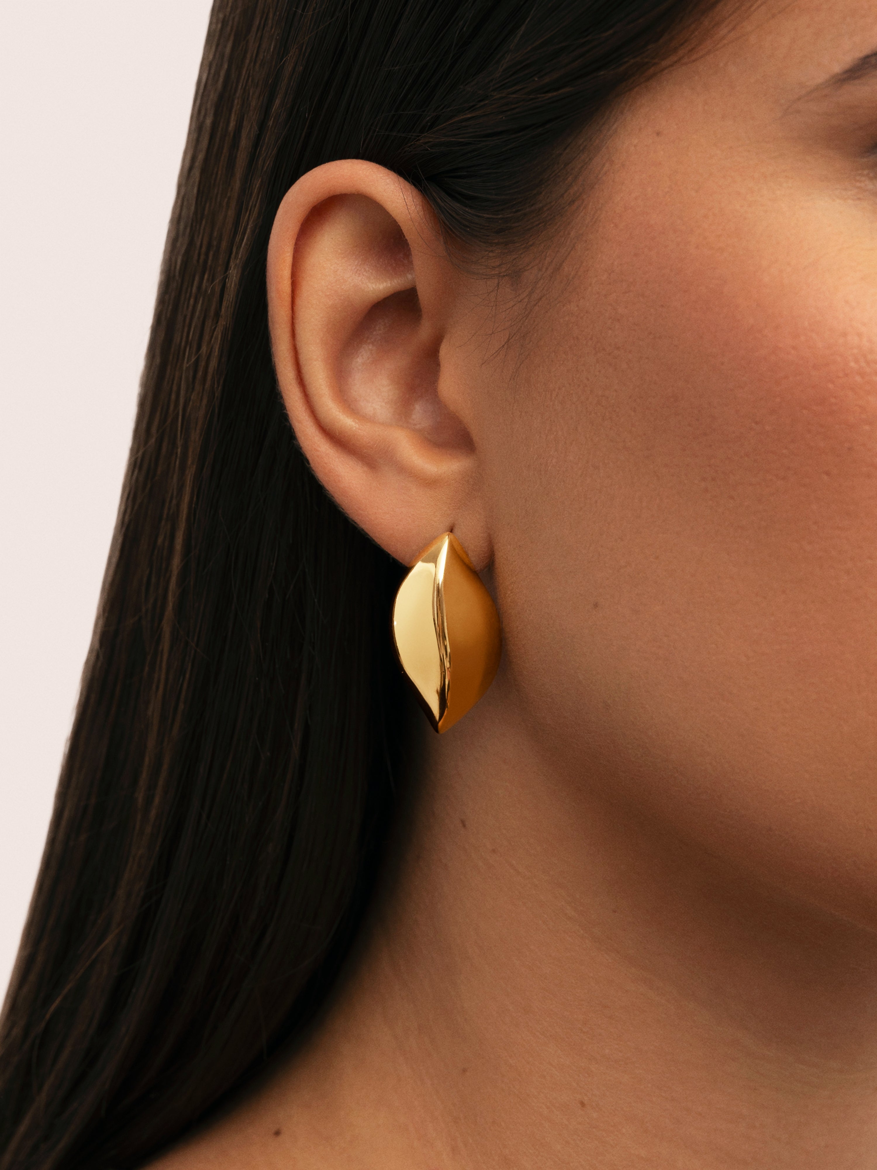 Cacao Stainless Steel Gold Earrings 