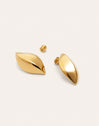 Cacao Stainless Steel Gold Earrings 