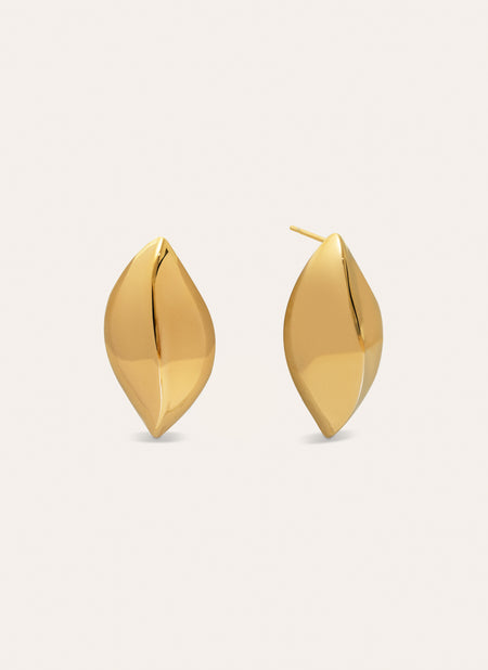 Cacao Stainless Steel Gold Earrings 