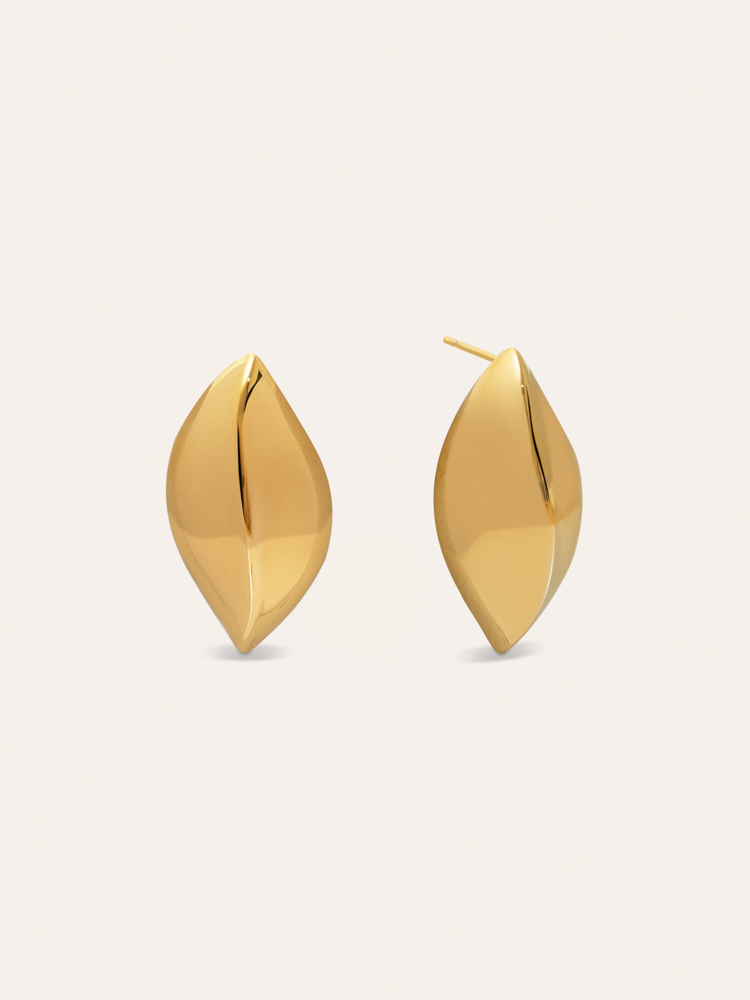 Cacao Stainless Steel Gold Earrings 